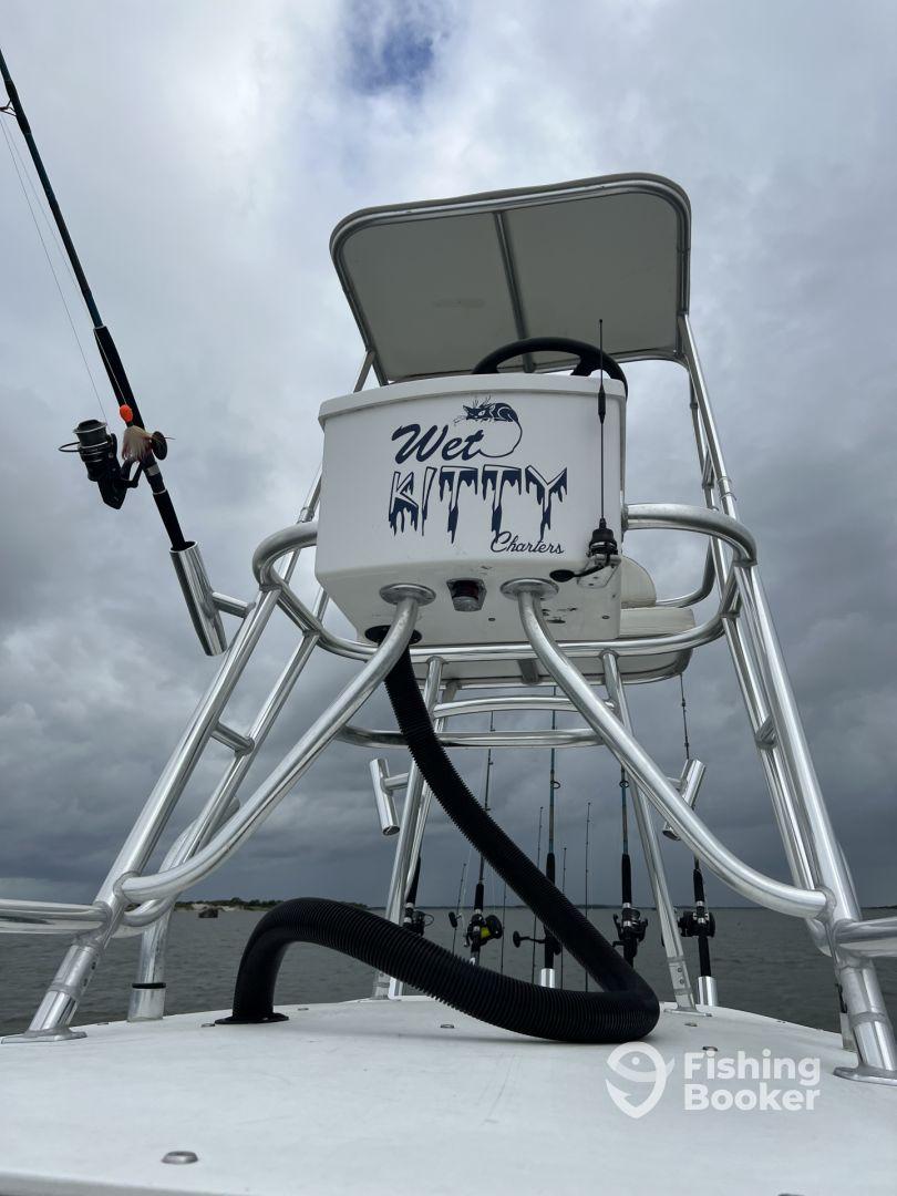 Highly Recommend Captain Tom