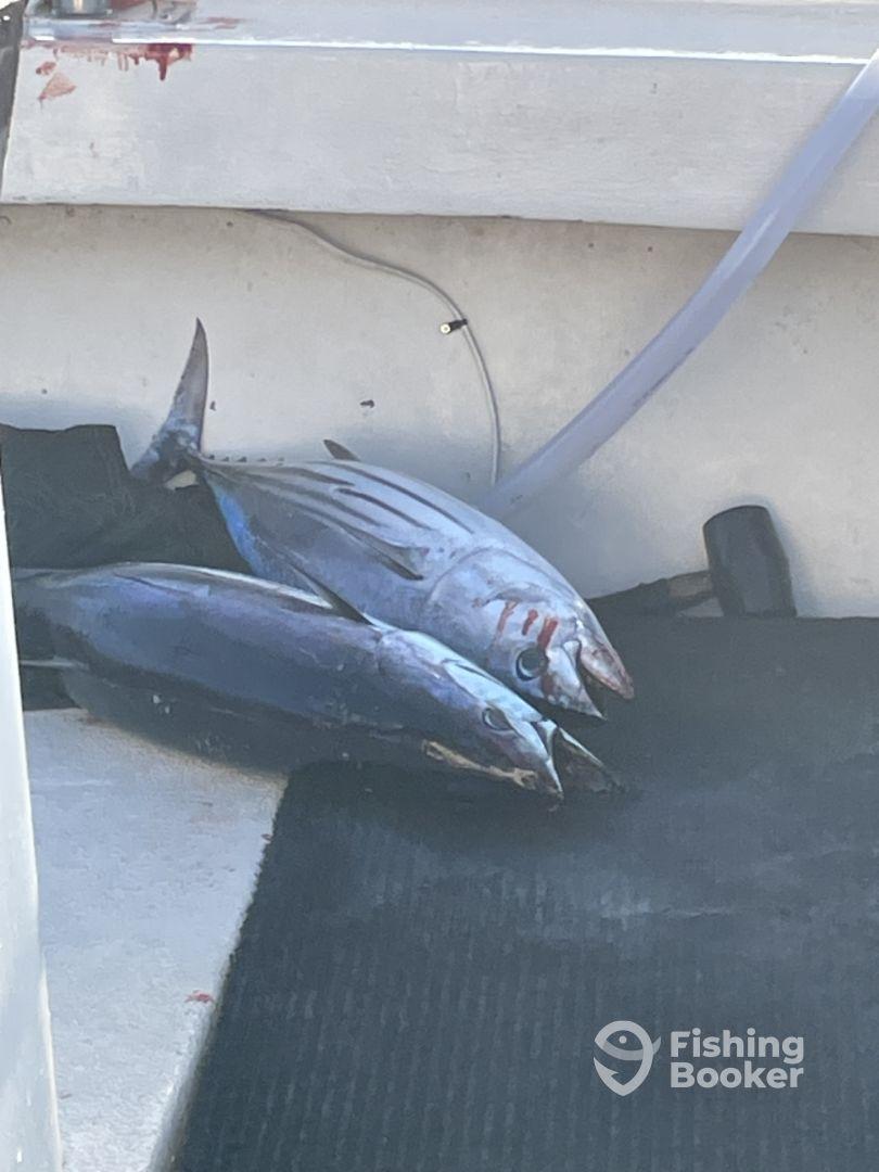 Hands down the trip of a Lifetime