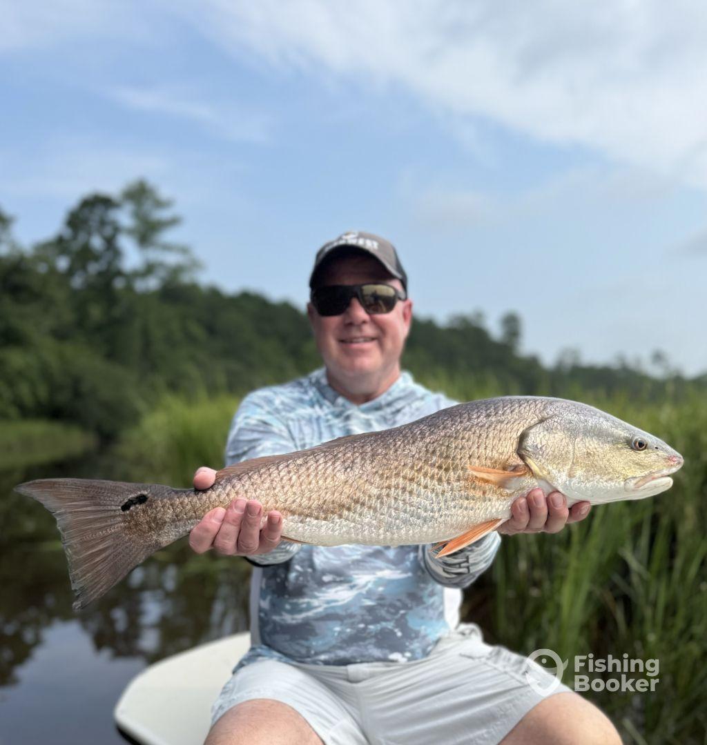 Redfish 