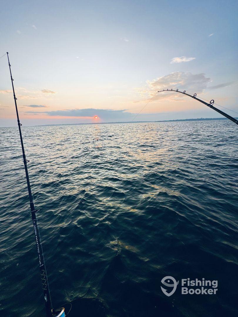 Fish all day fish all night