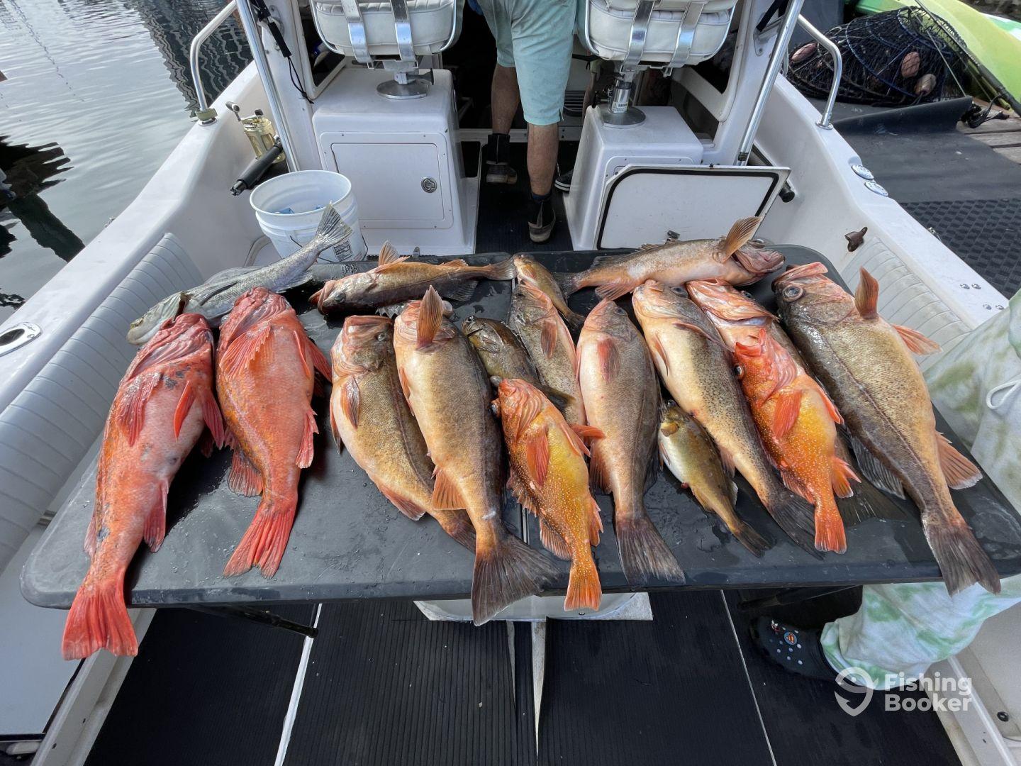 10 Stars if you could give 10