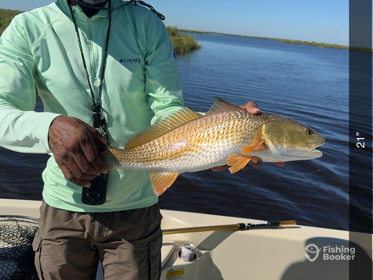 An angler proudly displaying a 21-inch Redfish while fishing in a serene waterway.