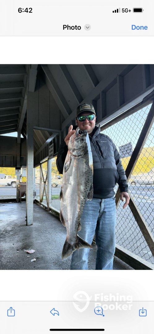 Patrick Higgins from reno