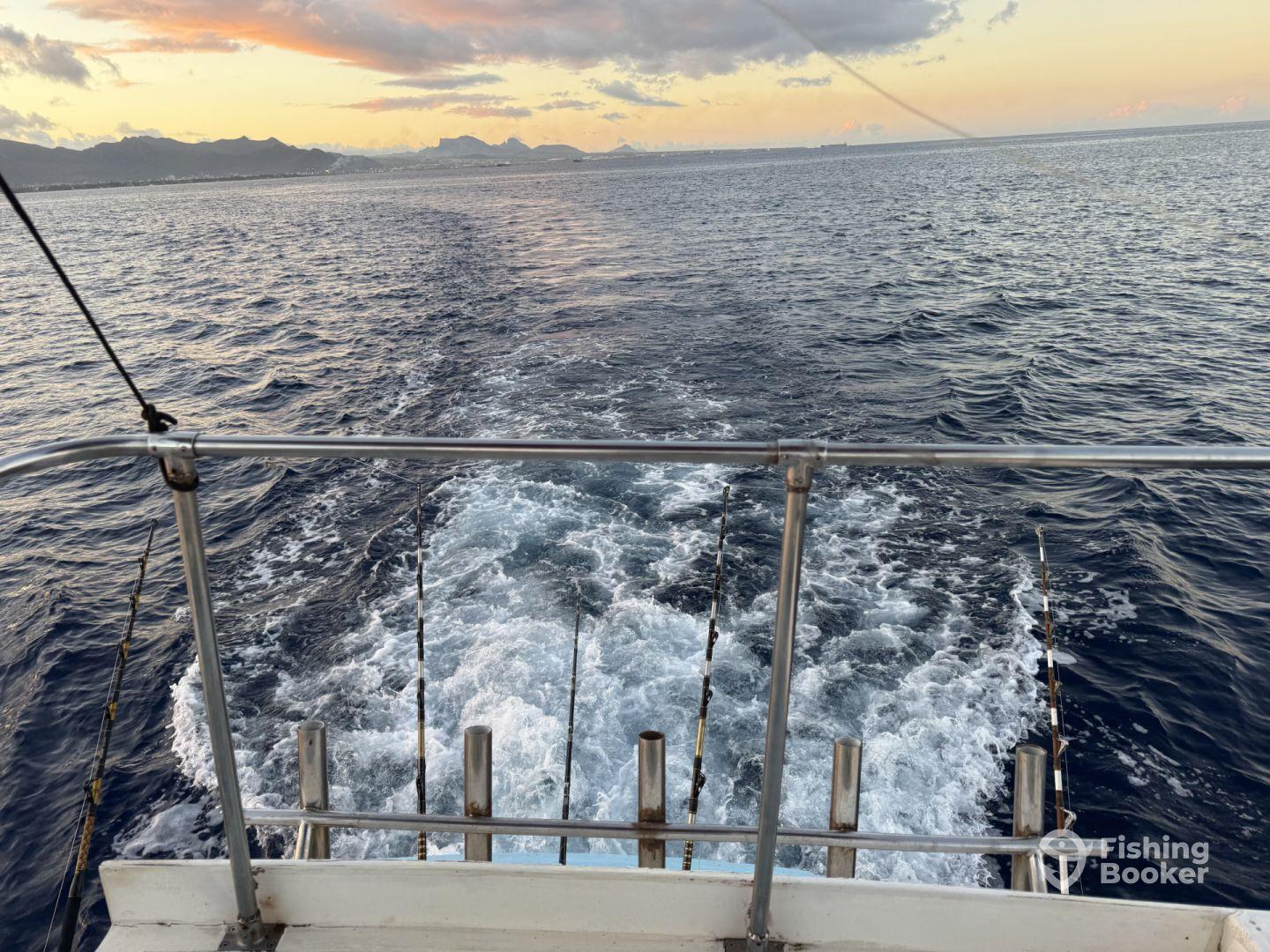 Where is the fish gone to ? 