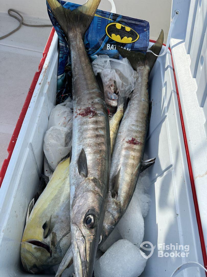 5 Hour Trip - Sunrise Catch