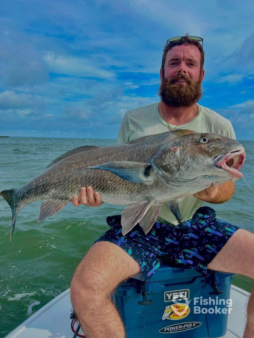 2 separate full day trips