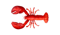 Lobster