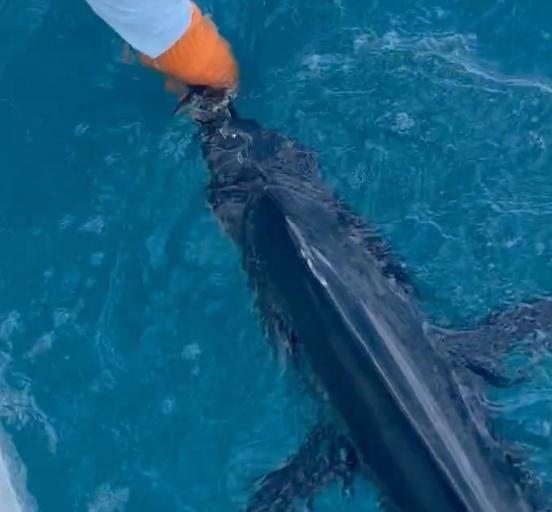 A Day I will Never Forget