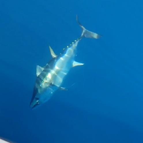 Ein fantastischer Tag