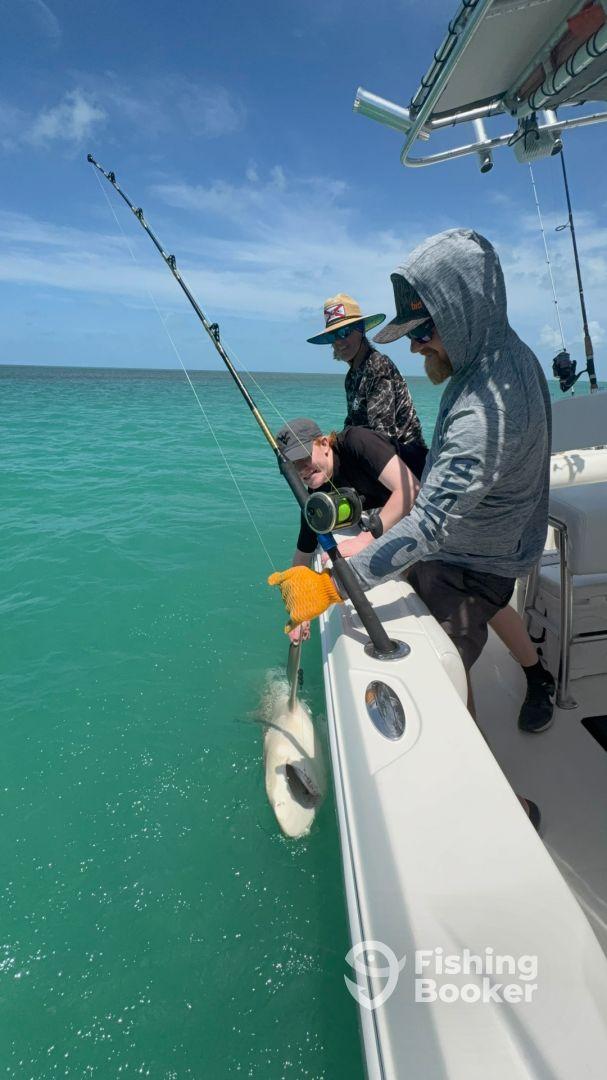 They made the trip fun!