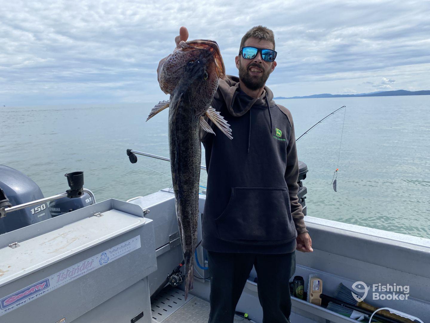 Definitely will use again