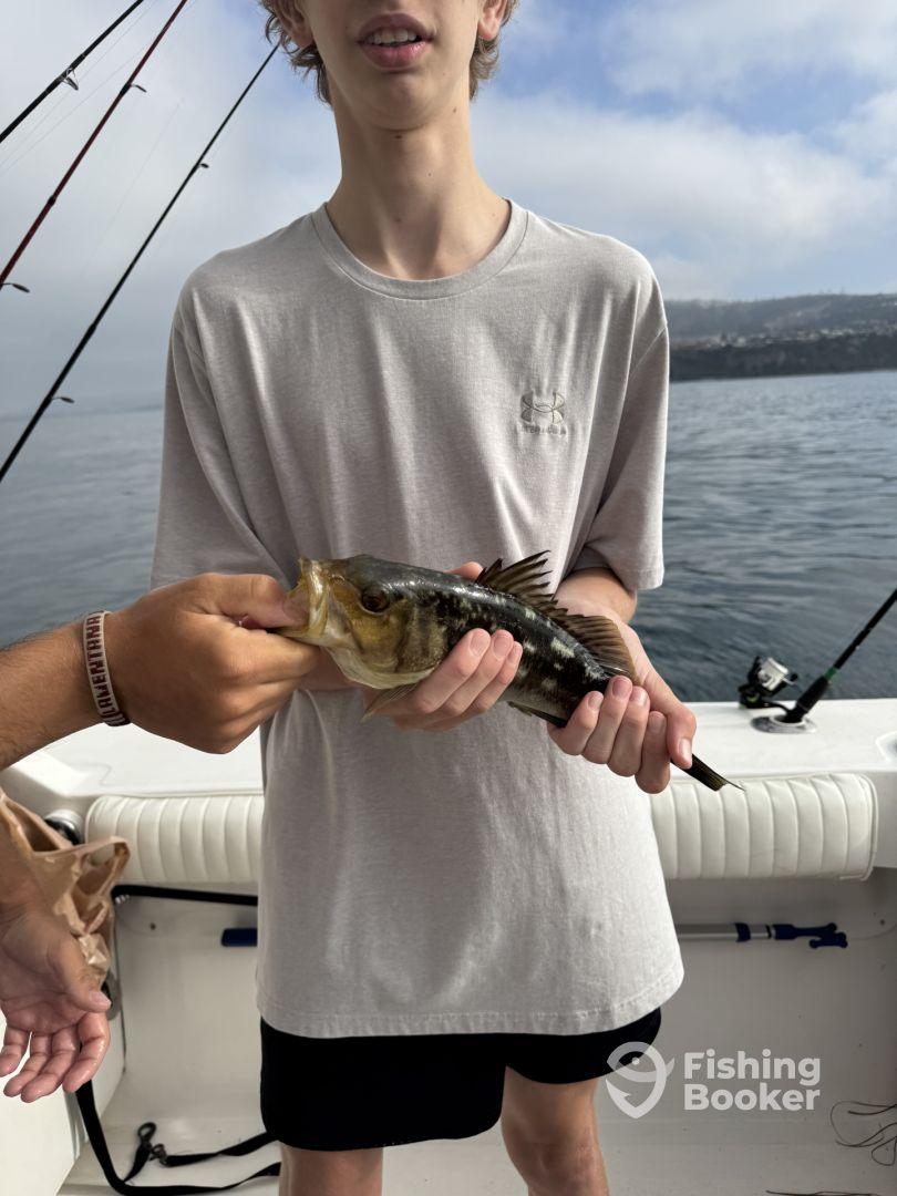 Captain Nick is great!