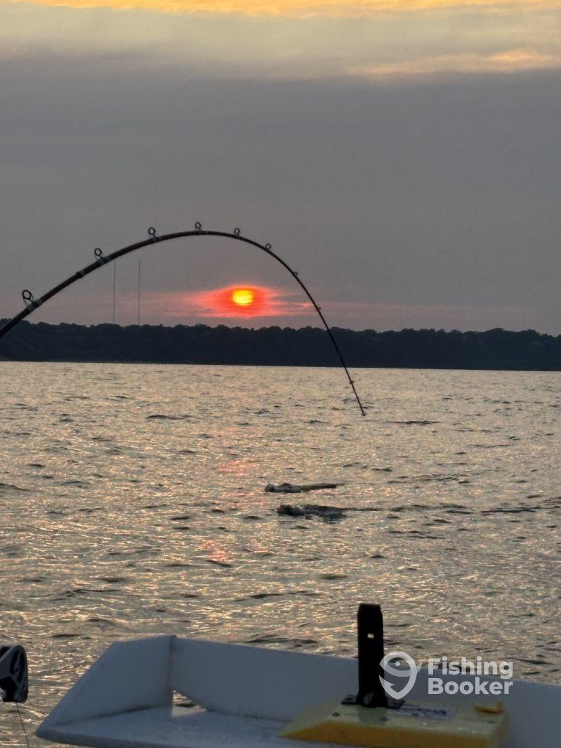 Threel Seekers Charter