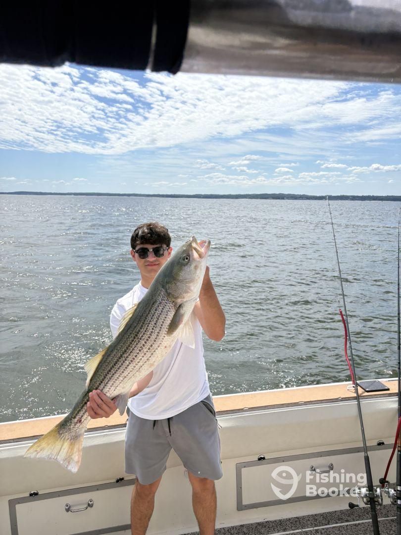 4 hour striped bass trip