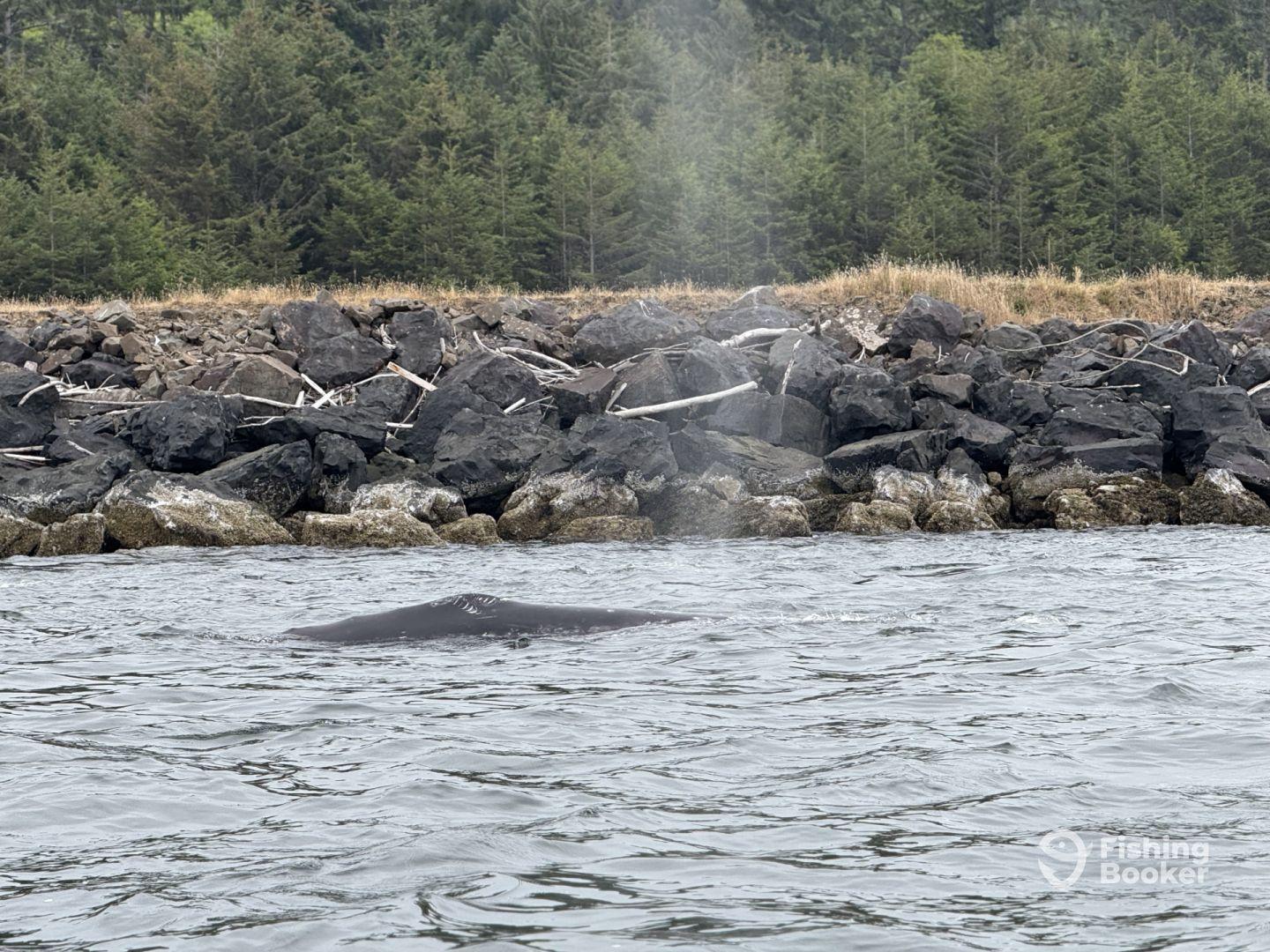 Unforgettable fishing adventure to celebrate 80th Burthday!