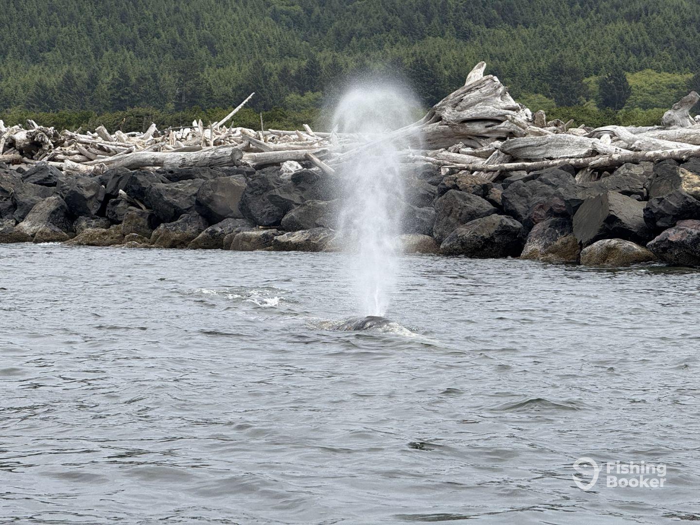 Unforgettable fishing adventure to celebrate 80th Burthday!