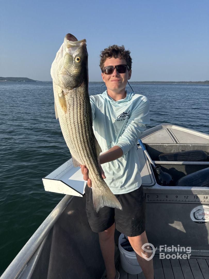 Knowledgeable captain