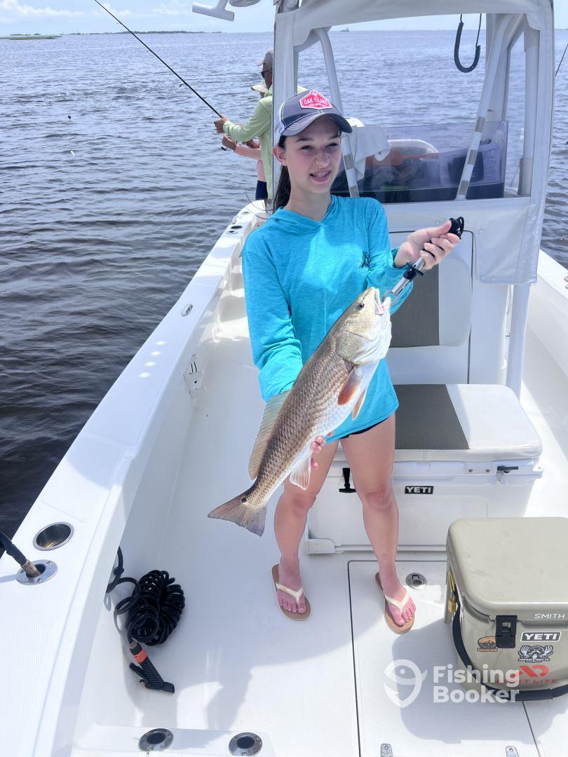 Lots of fish good with kids