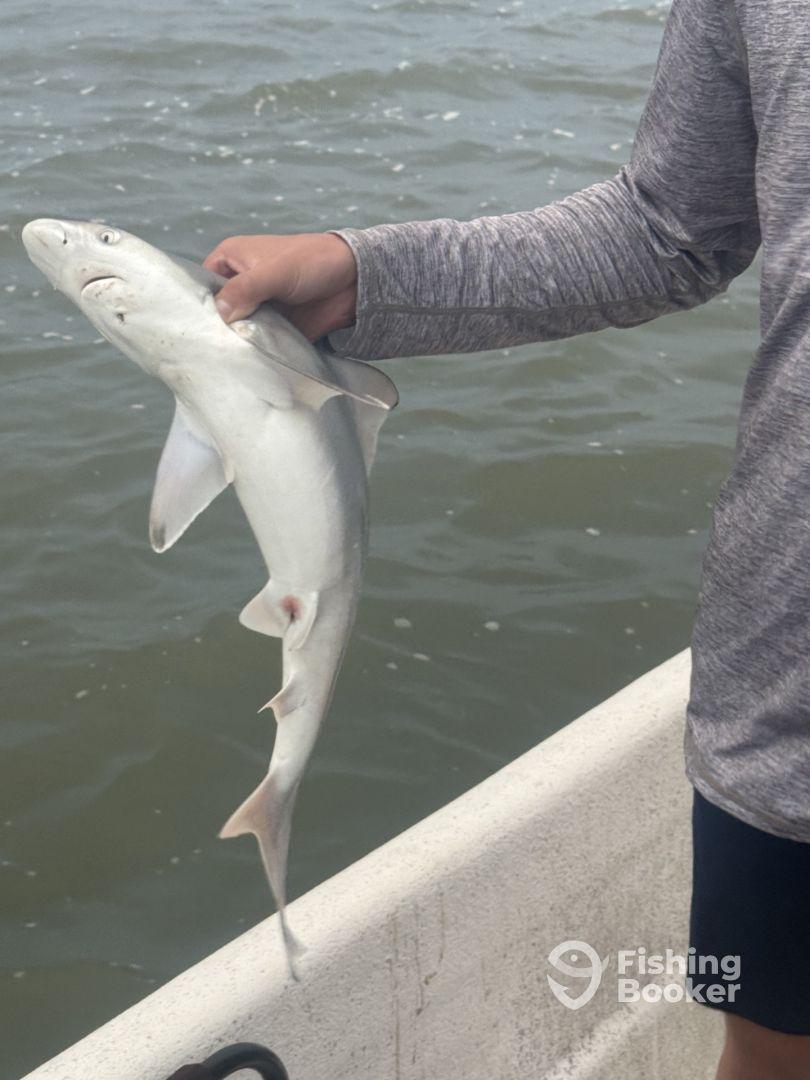 4 hour pm fishing trip