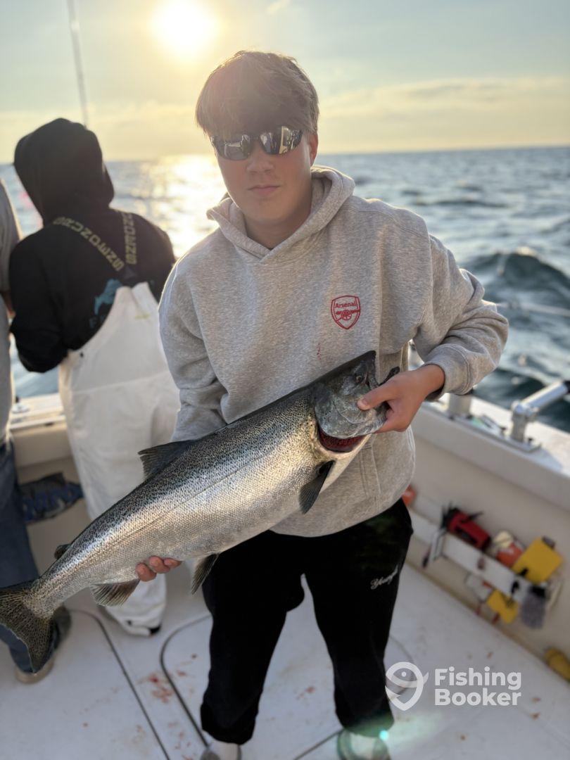 Better than I could have imagined