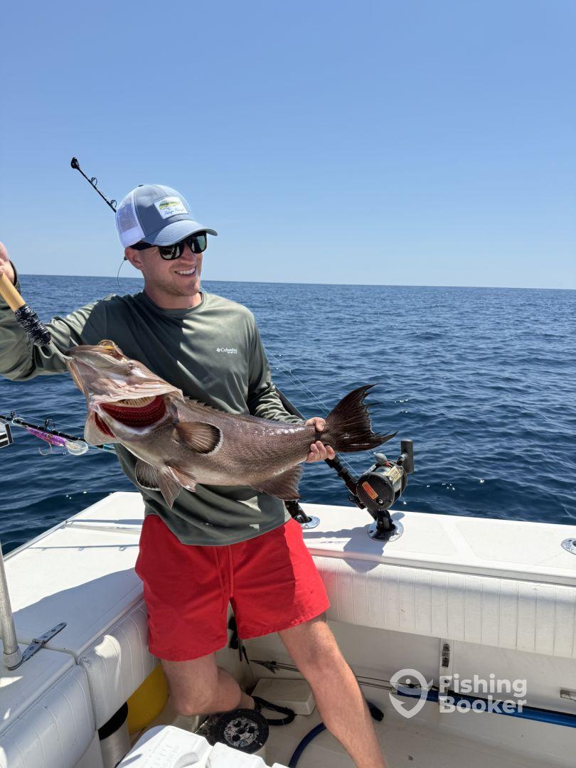 Big Fish & Lots of Fish!!