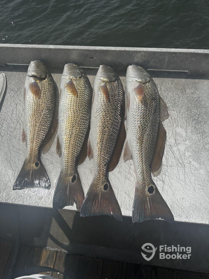 Great trip with captain Andy