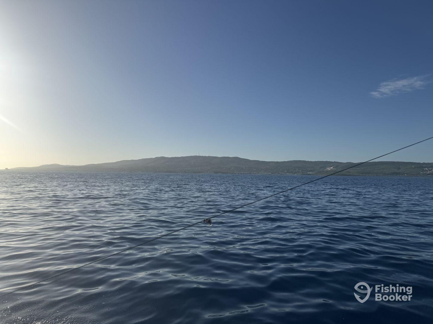 On the hunt in Jamacia