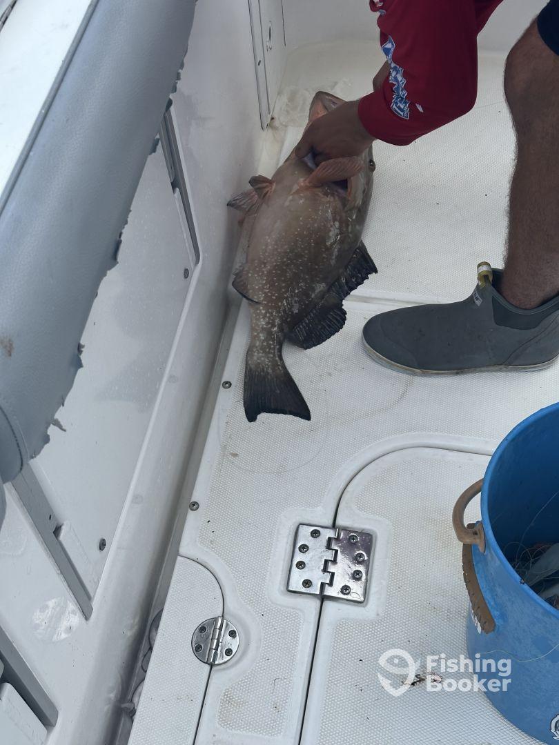 Great time with a knowledgeable captain