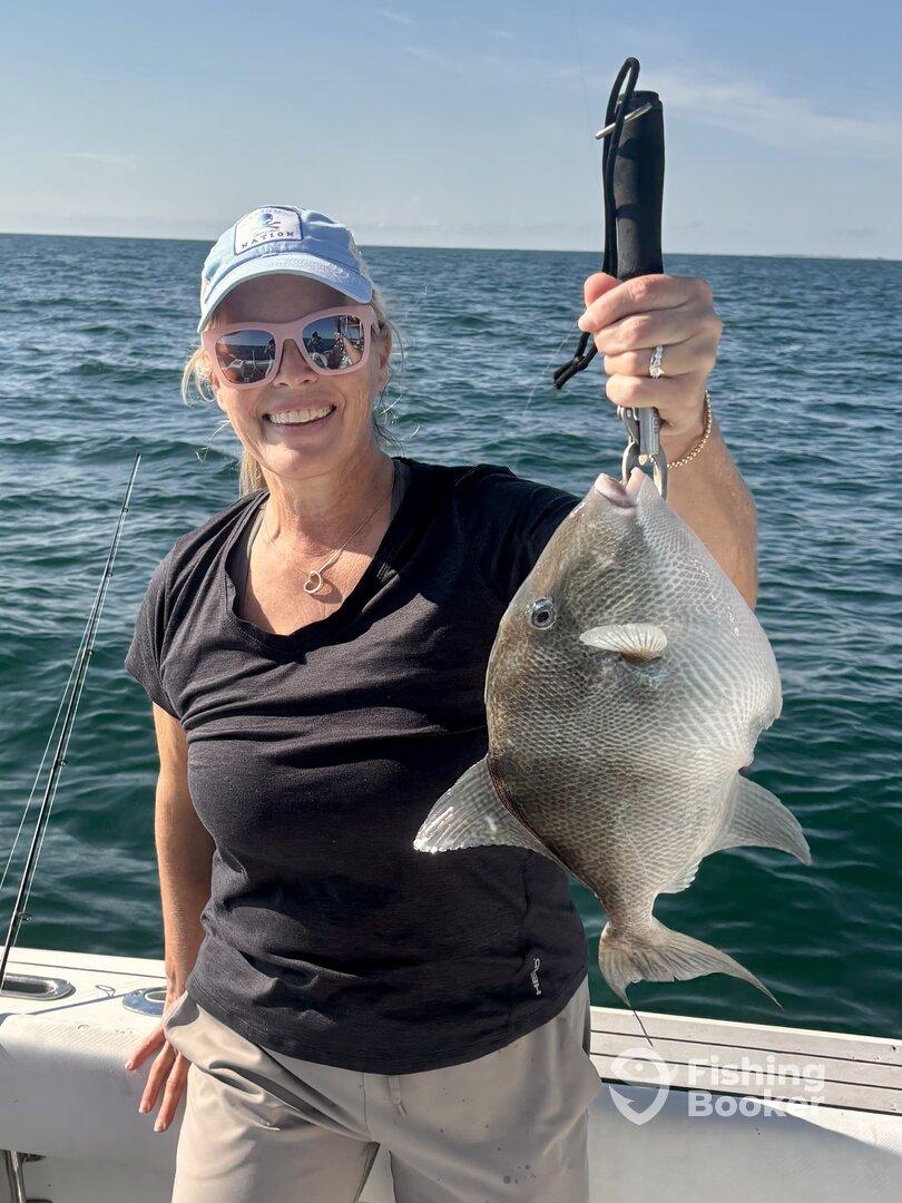 Big Trigger Fish!