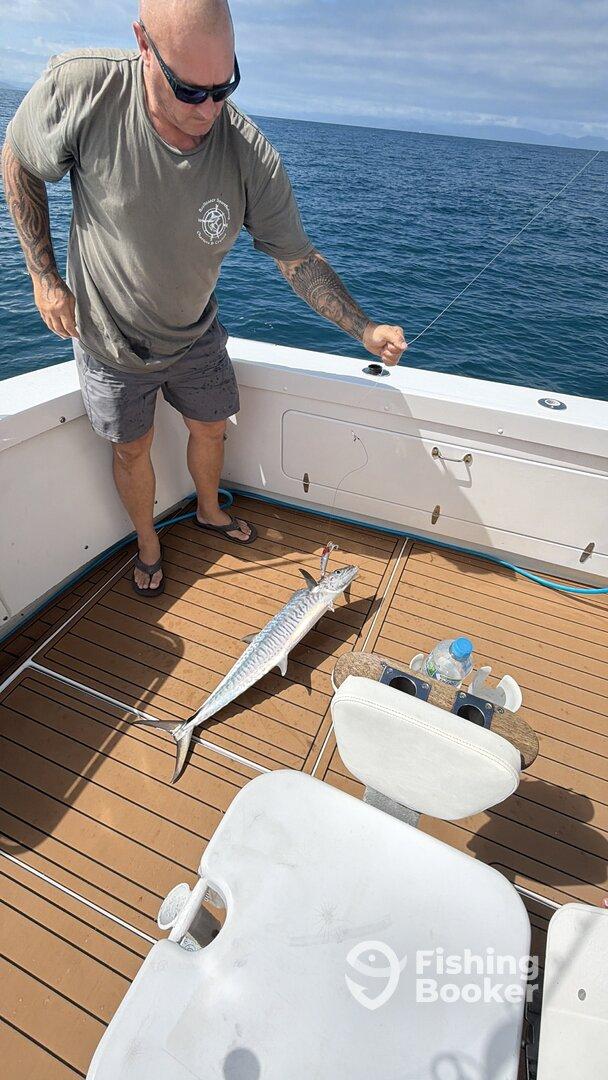 Great Morning Fish on the Reef