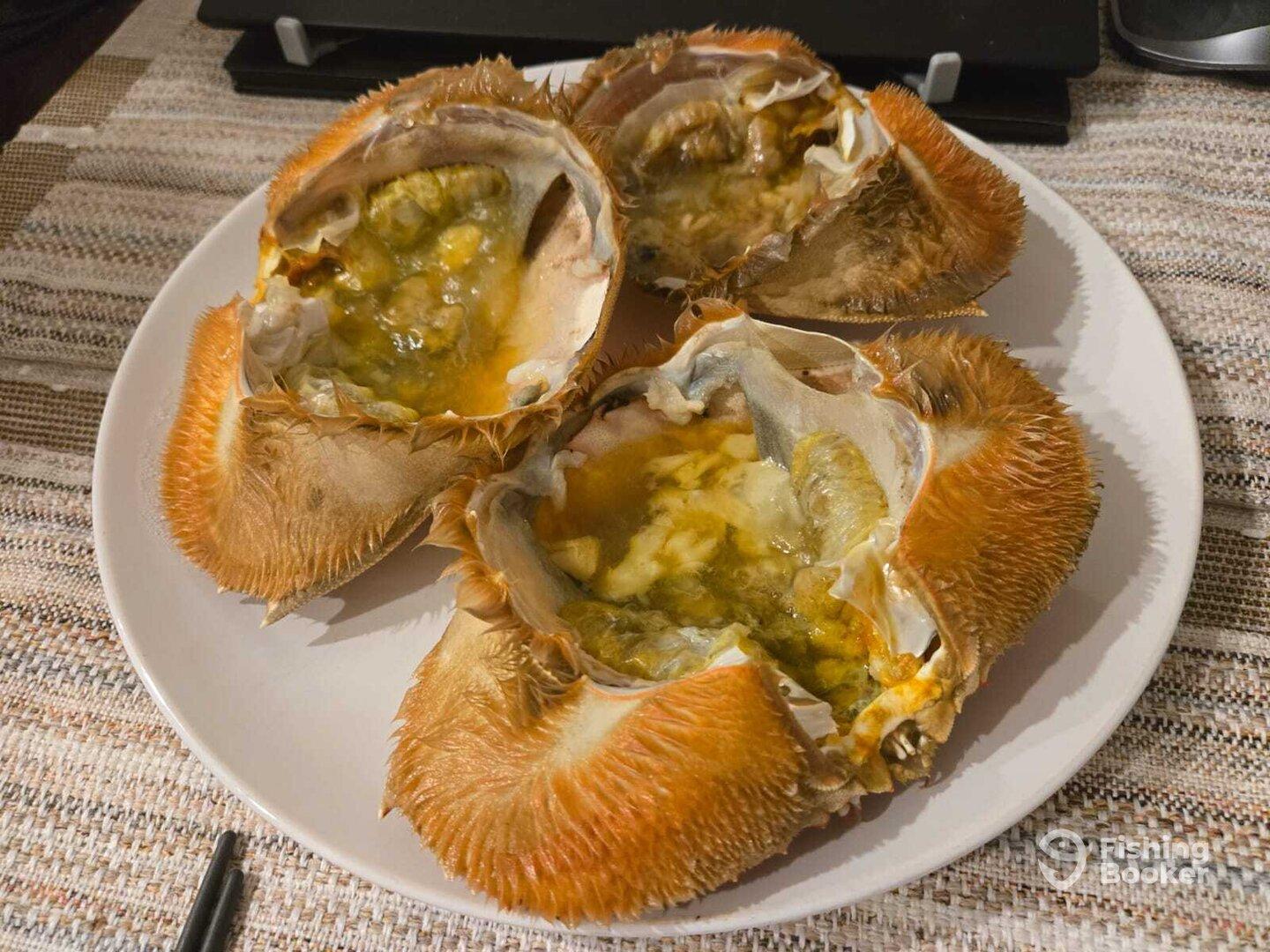 Skylars Fishing was serious fun!!!