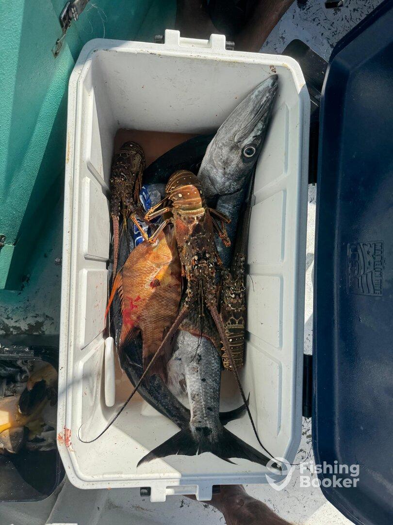 Amazing Spearfishing Experience!