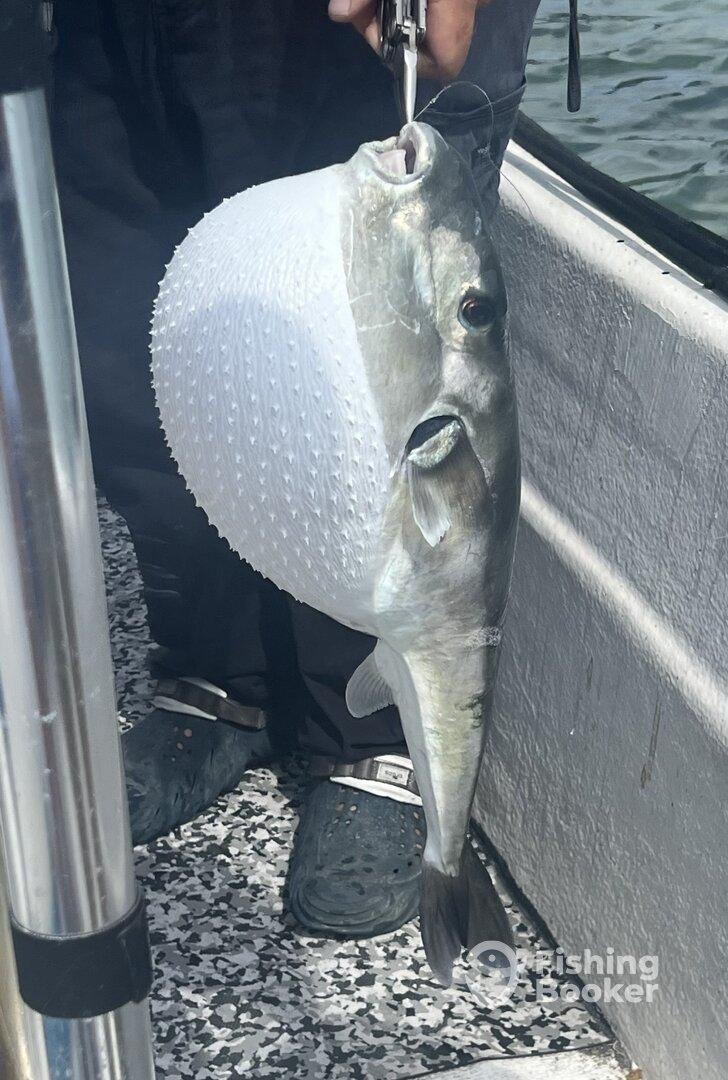 Good day on the water