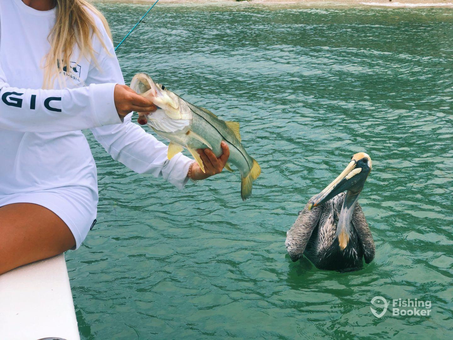 Half Day trip with Captain Cody