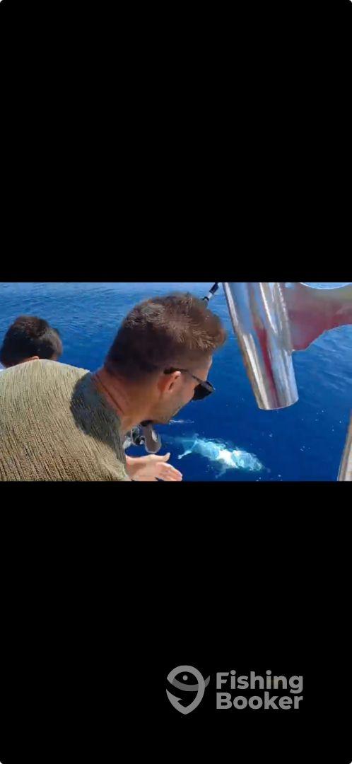 Great Trip with Tuna Catch